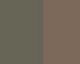 Jungle / Brown